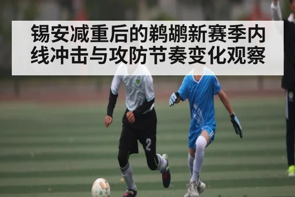 锡安减重后的鹈鹕新赛季内线冲击与攻防节奏变化观察 | kaiyun